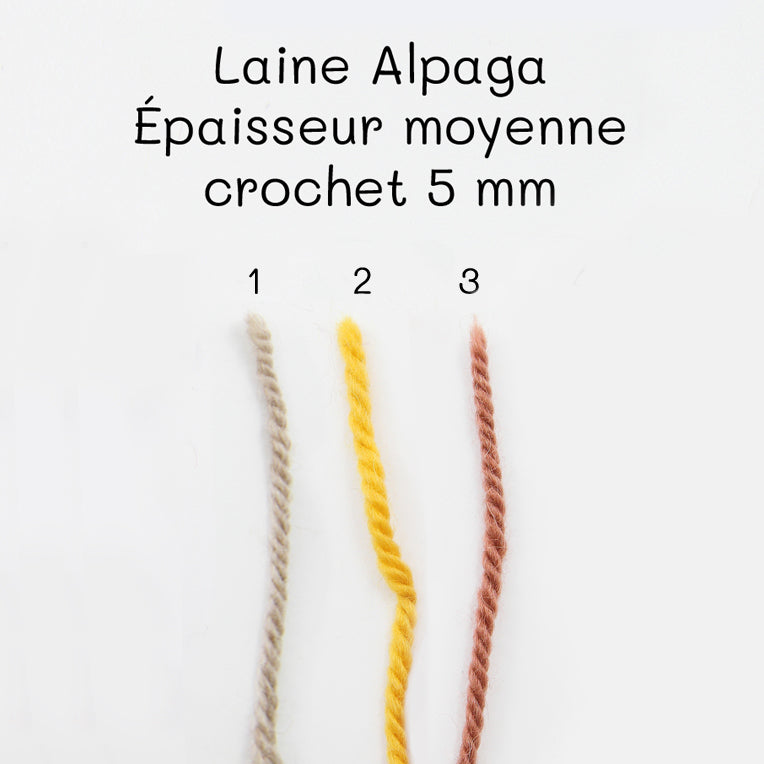 Kit Crochet - Écharpe Albane